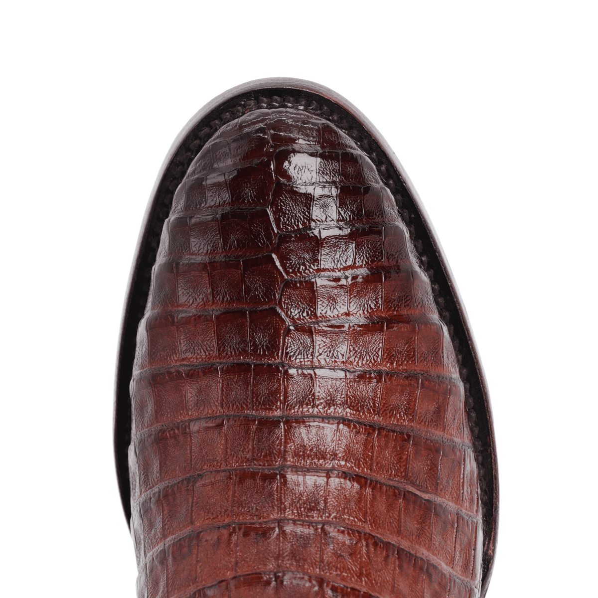 Botín Franchesco en Piel de Caimán Negro BH101