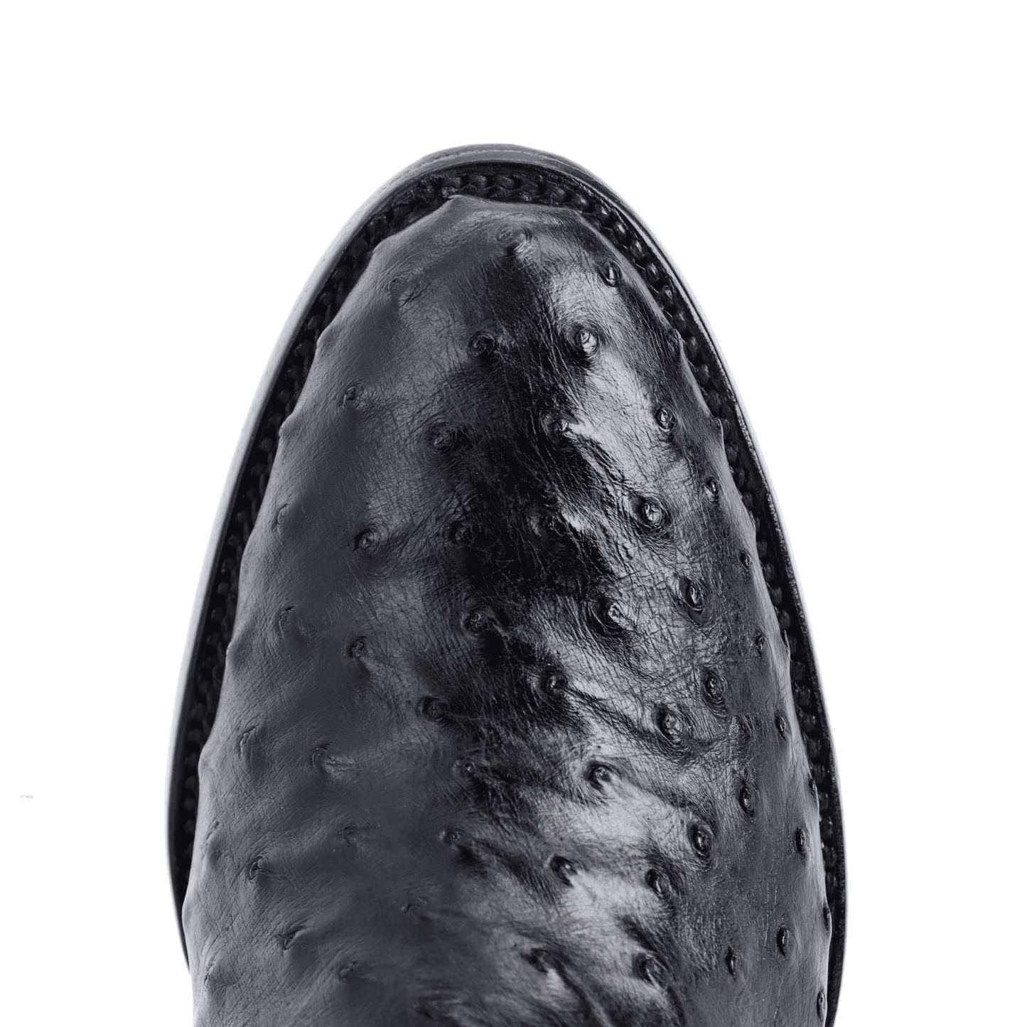 Botín Franchesco en Piel de Avestruz Negro BH110